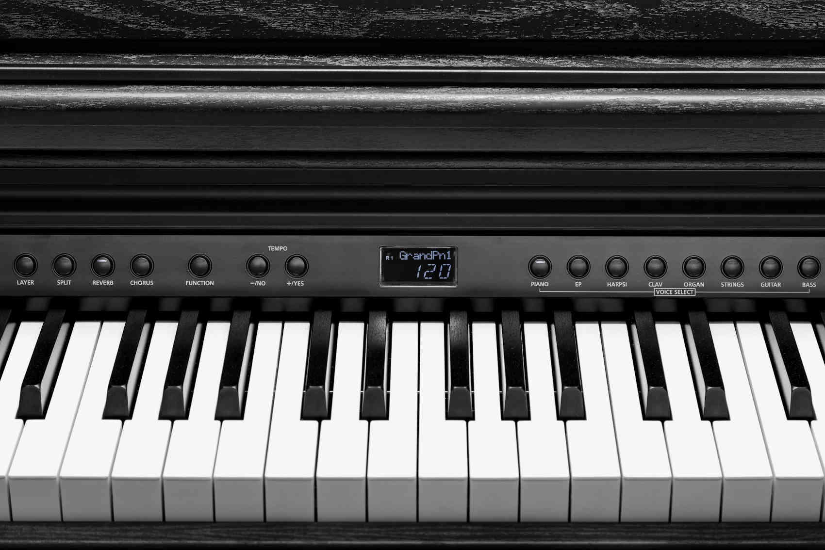 Kurzweil CUP E1 BK - фото 7
