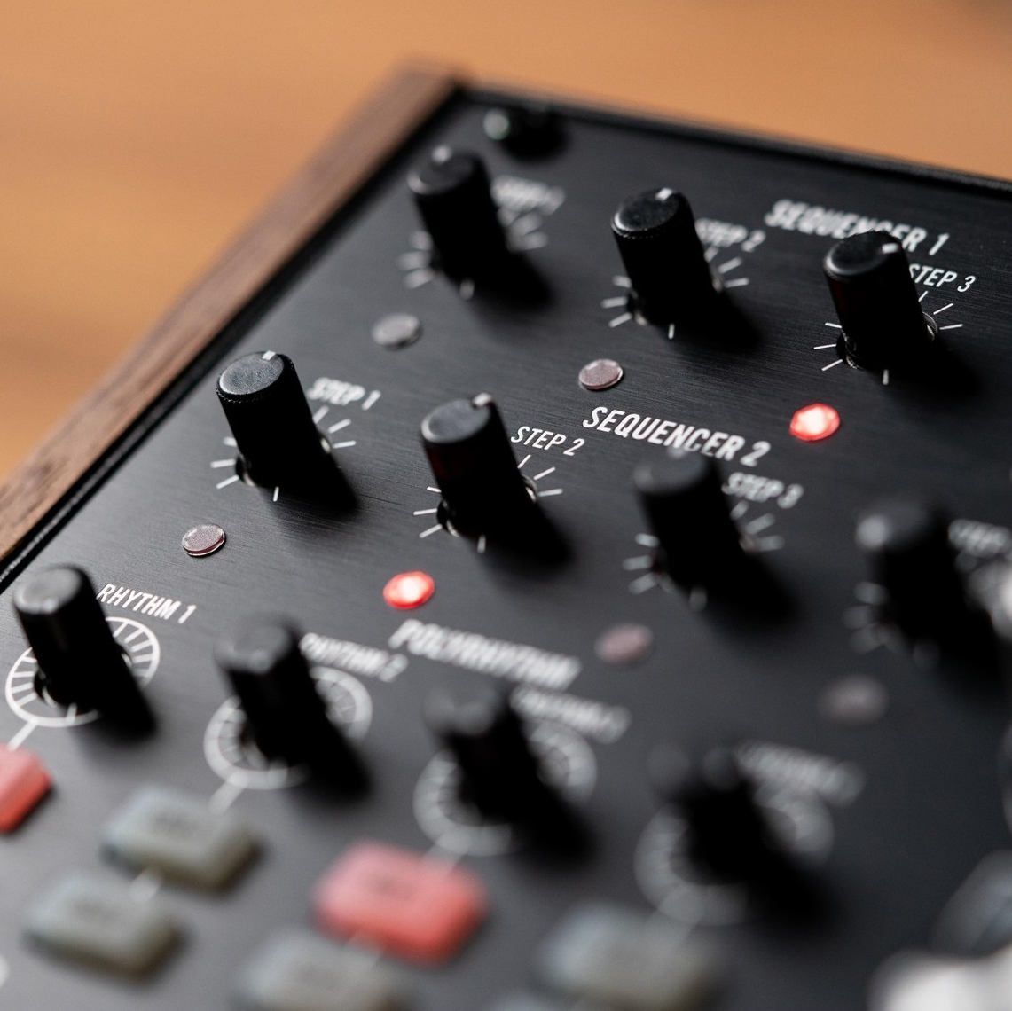 Moog Subharmonicon - фото 6