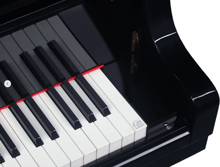 Medeli GP805 - фото 7