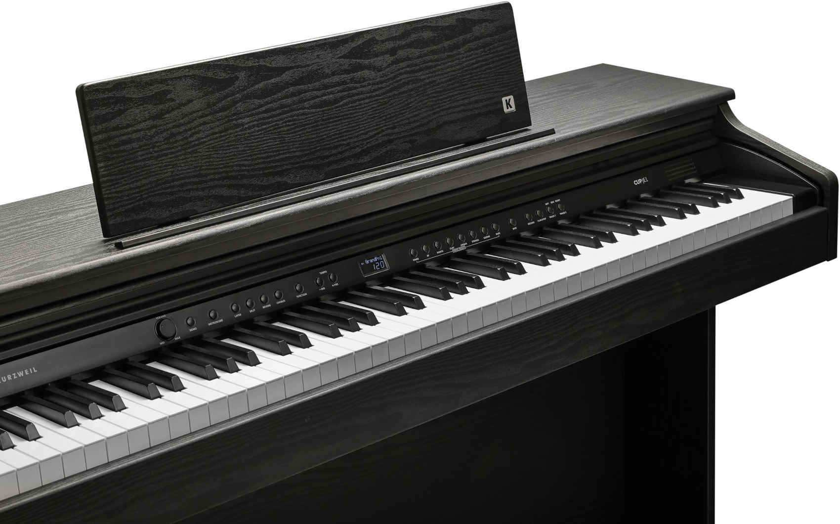 Kurzweil CUP E1 BK - фото 9