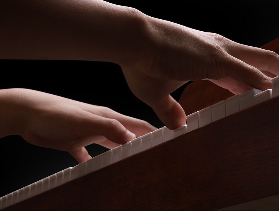 Donner DDP-200 - фото 14