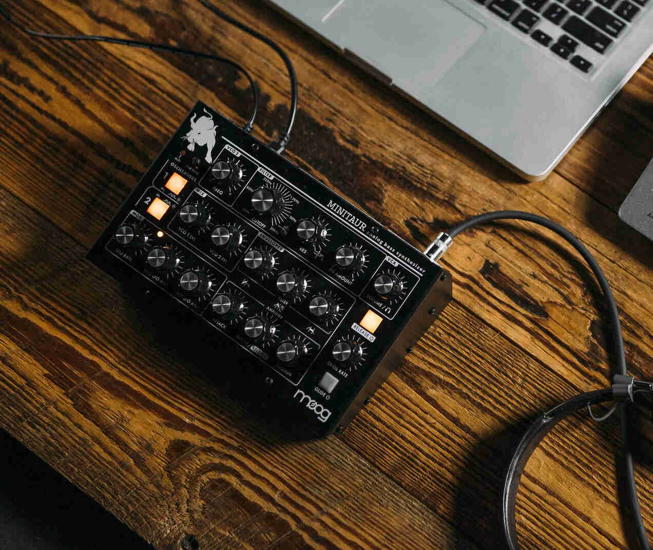 Moog Minitaur - фото 8