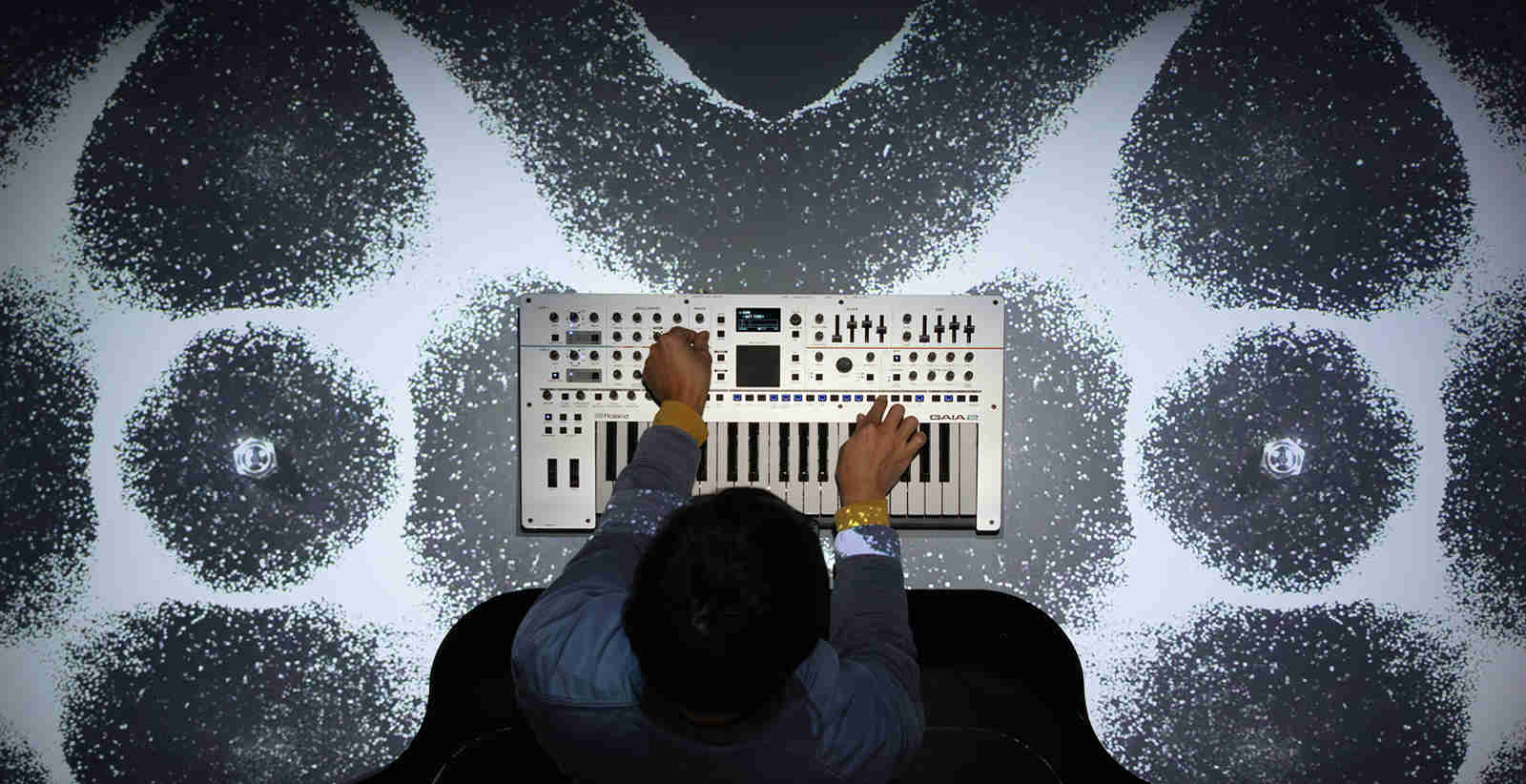 Roland GAIA 2 - фото 11