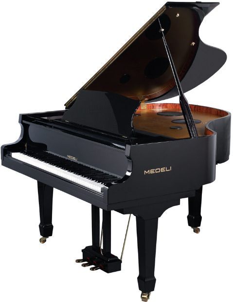 Medeli GP805 - фото 3