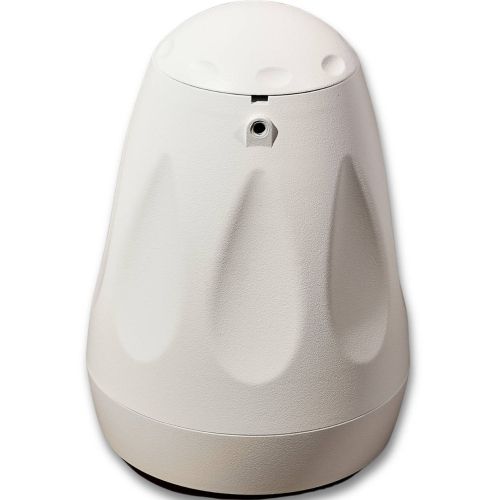 SVS Audiotechnik BWS-60W