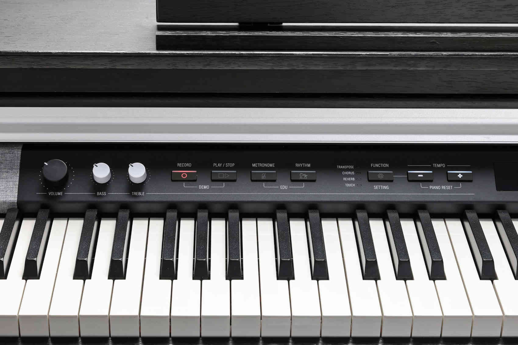 Kurzweil CUP P1 SR - фото 6