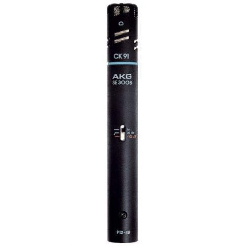 AKG C391B