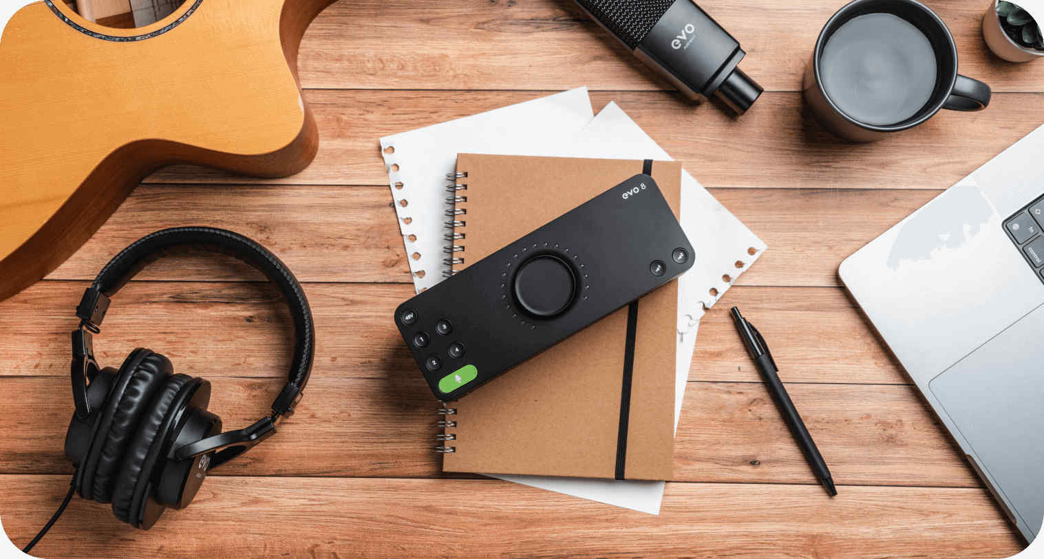 Audient EVO 8 - фото 6