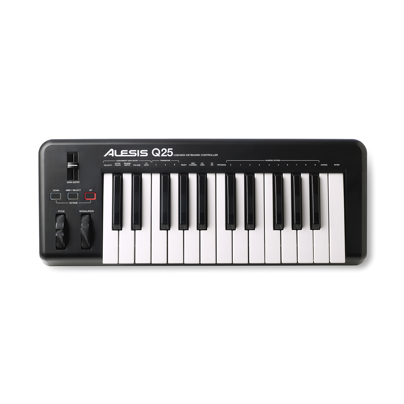 Alesis Q25