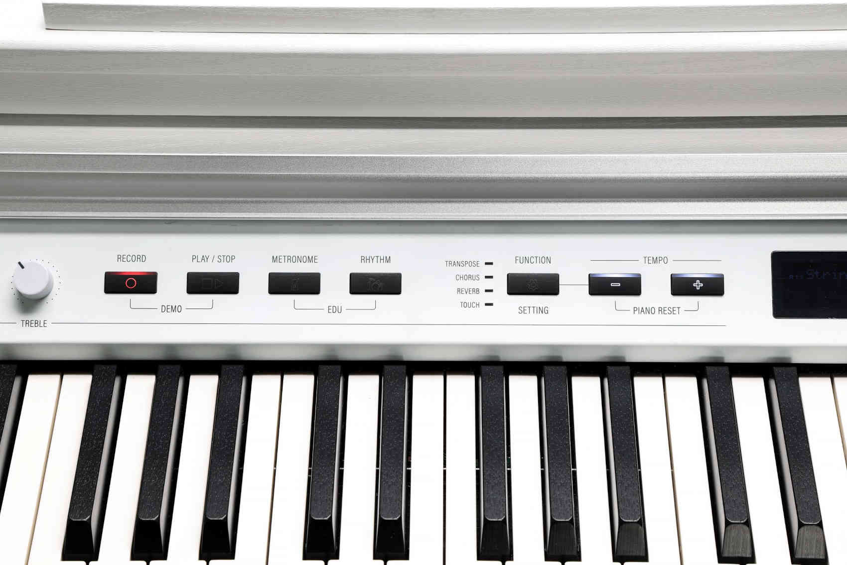 Kurzweil CUP P1 WH - фото 5