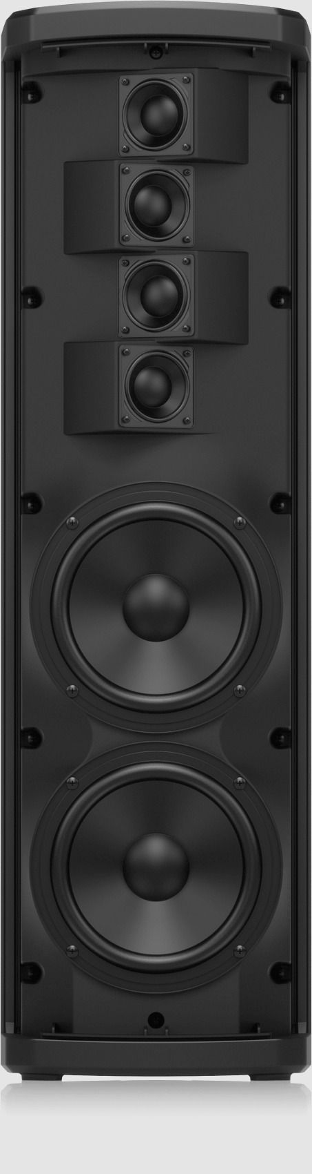 Turbosound IP300 - фото 2