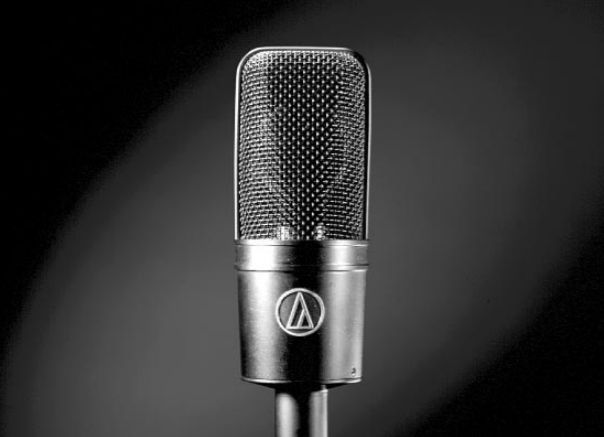 Audio-technica AT4033ASM - фото 2