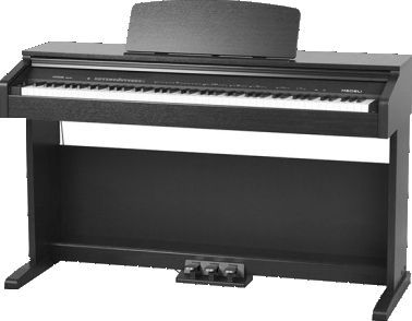 Medeli DP250RB-BK
