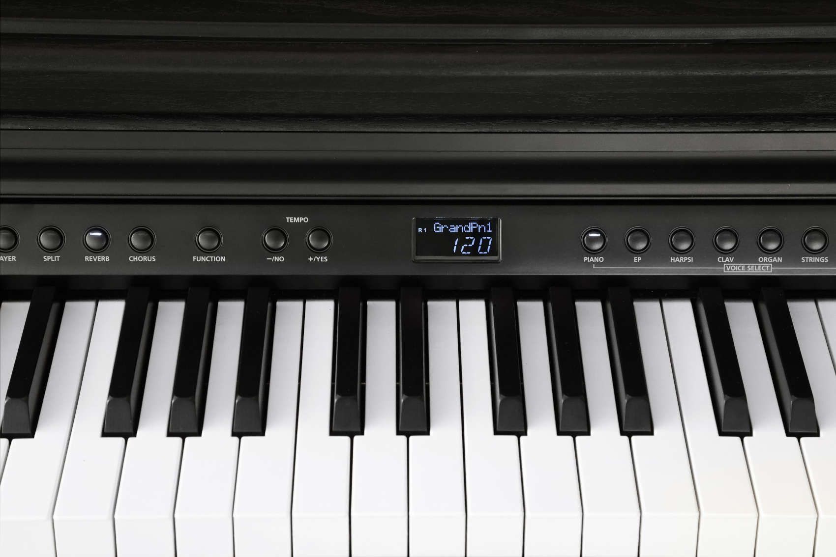 Kurzweil CUP E1 BK - фото 8