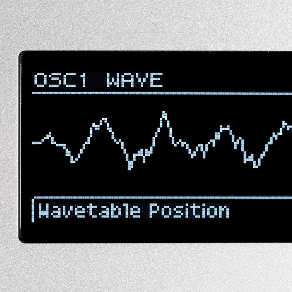 Roland GAIA 2 - фото 6