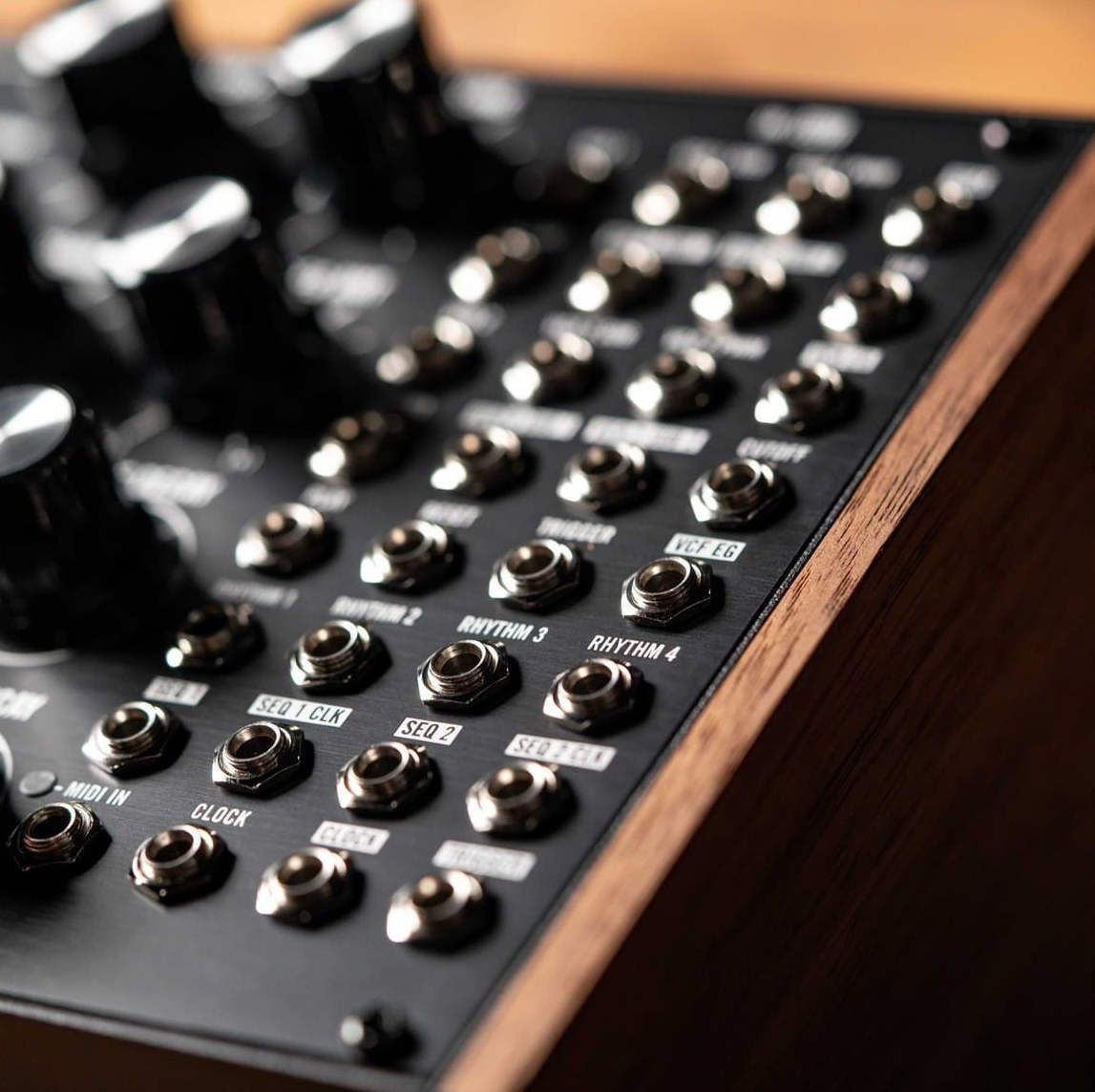 Moog Subharmonicon - фото 8