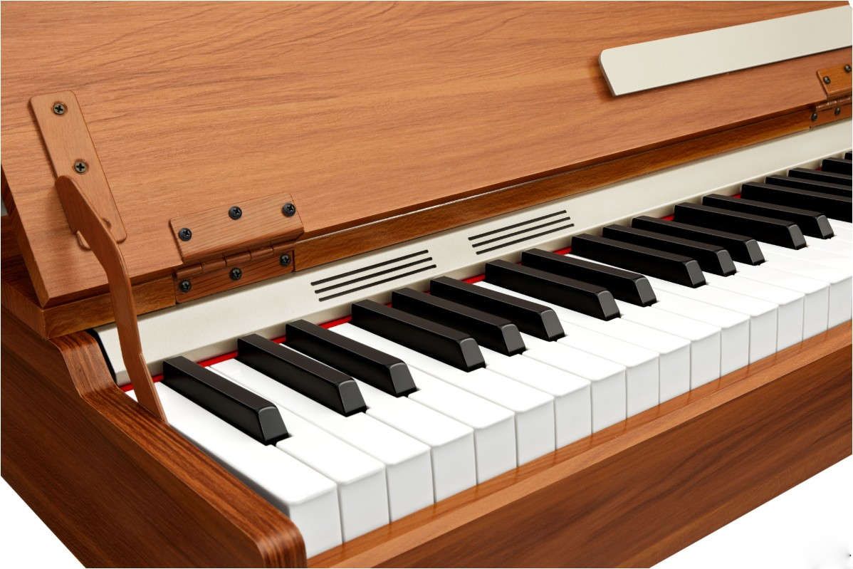 Donner DWP-10 - фото 7