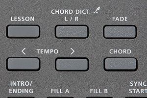 Kurzweil KP90L LB - фото 10