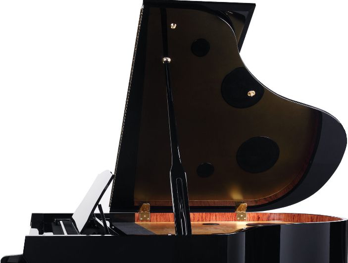 Medeli GP805 - фото 5