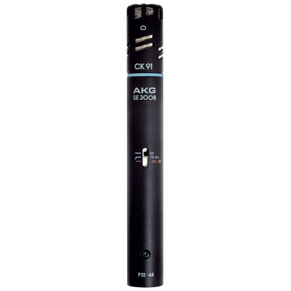 AKG C391B