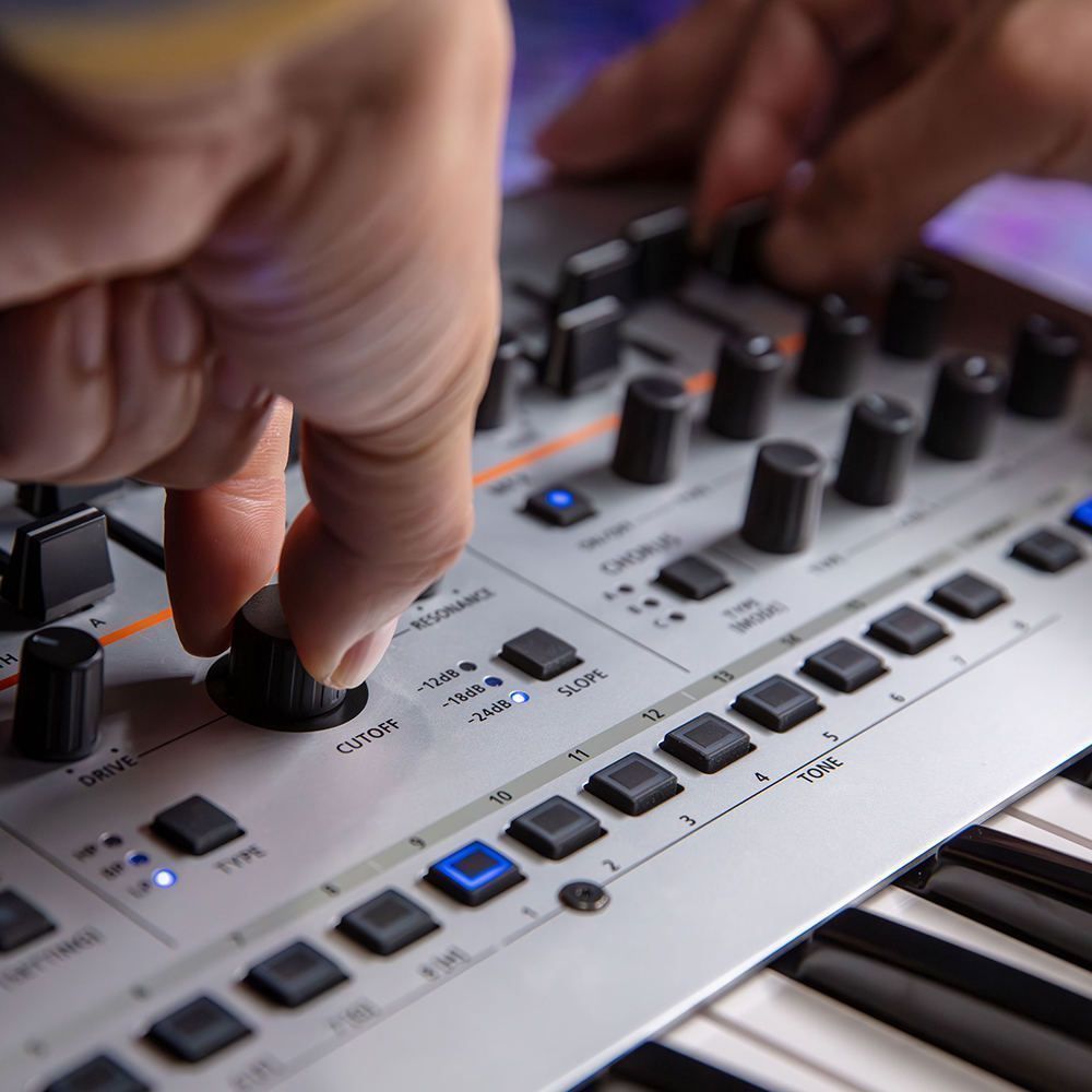 Roland GAIA 2 - фото 5