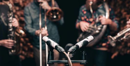 Universal Audio SP-1 - фото 7